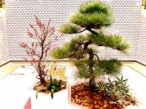 IMG_0859
