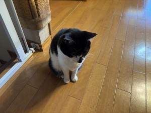 あーちゃん反省